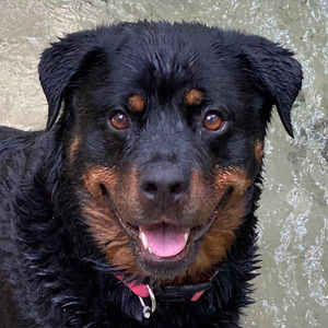 Meet your Posher, Melanie